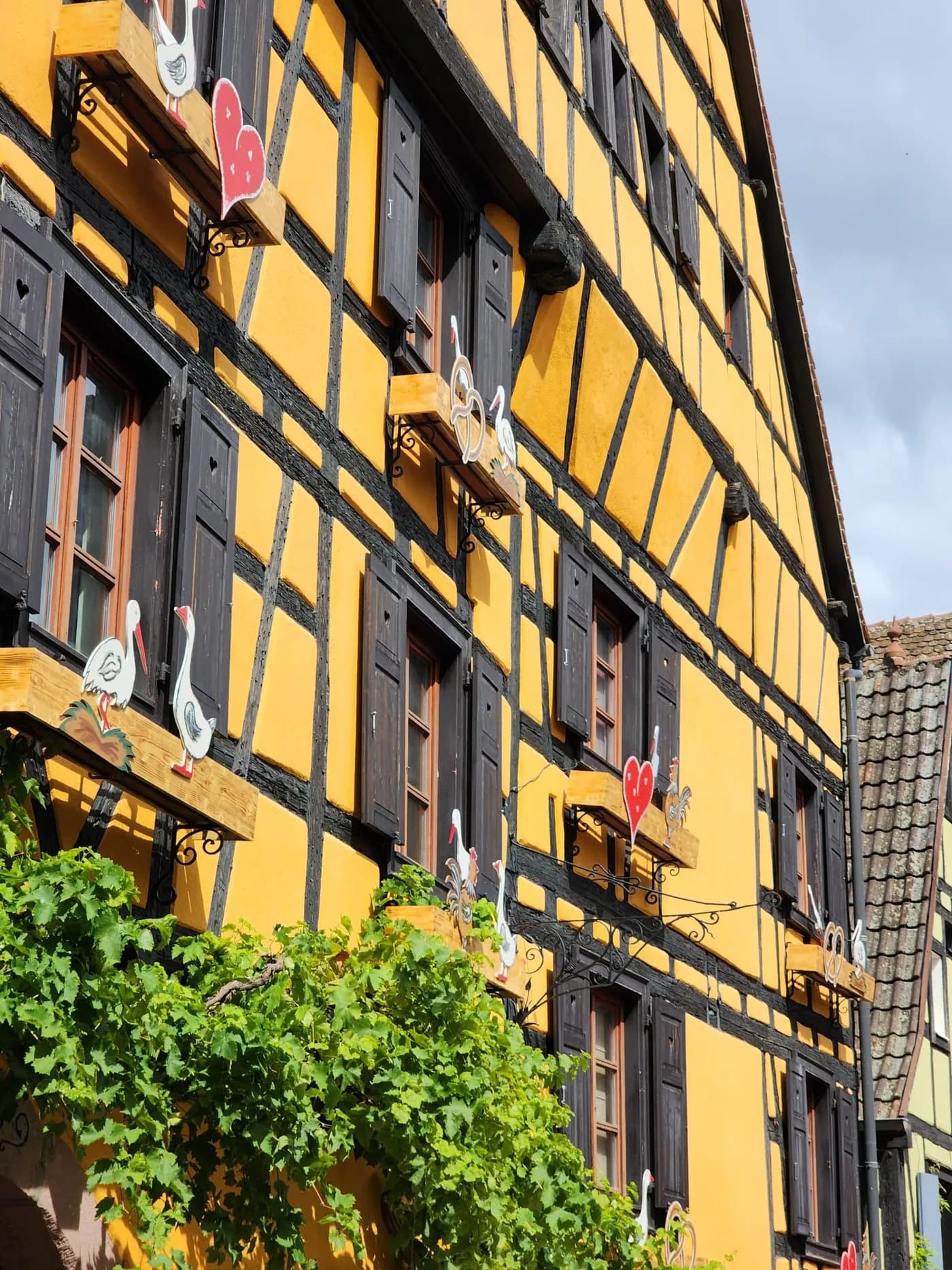Villages alsaciens: Kaysersberg, Riquewihr…