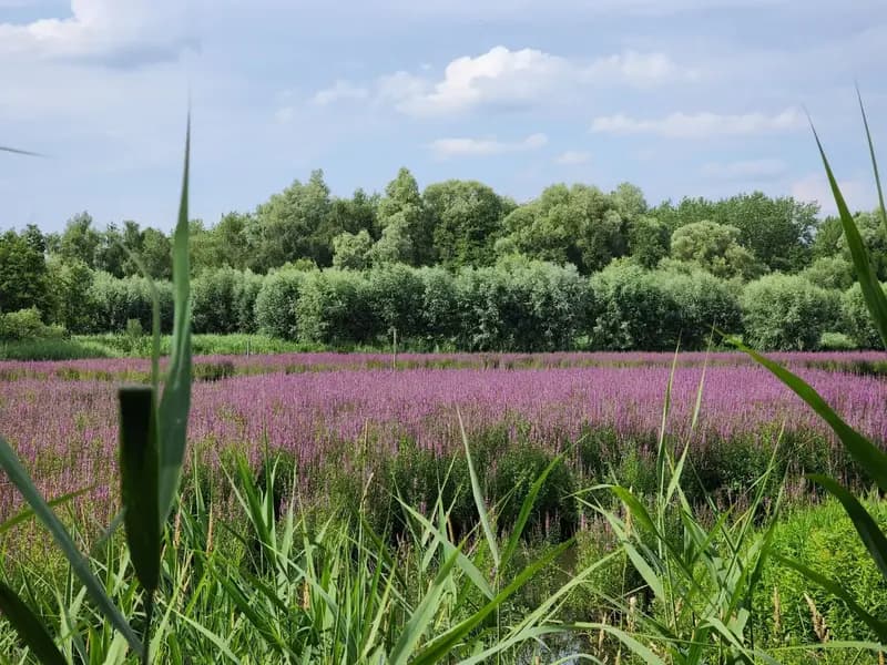 Une journée détente près de Lille