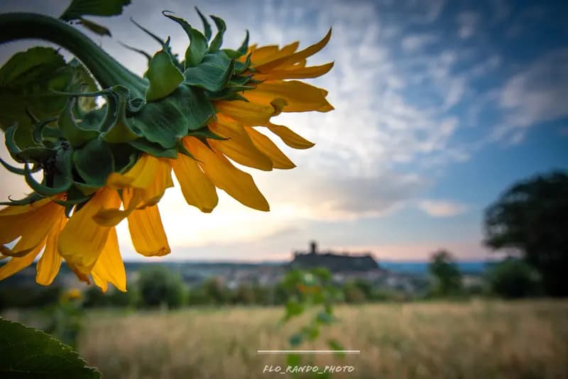 Autour du Puy-en-Velay