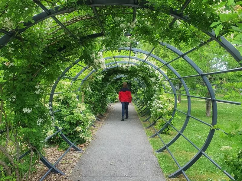 Les jardins Mallet-Stevens