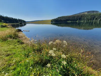 point de vue global sur le lac
