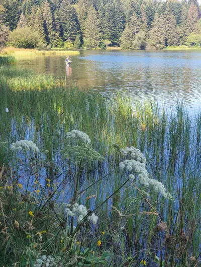 zone protégée au lac de Servières