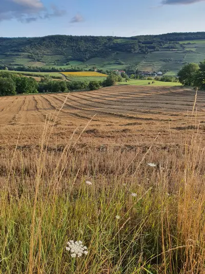 campagne autour de Boudes