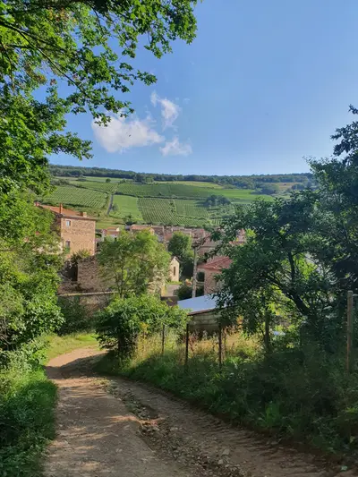 chemin du retour vers boudes