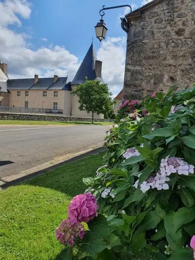 château avec des fleurs
