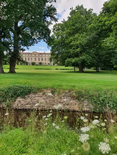 château avec des fleurs au premier plan