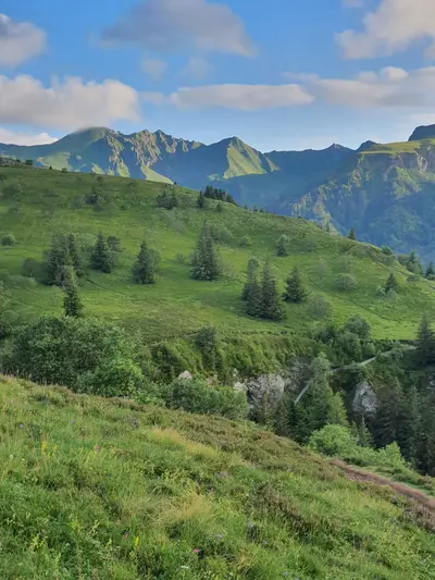 massif du sancy en arrière plan
