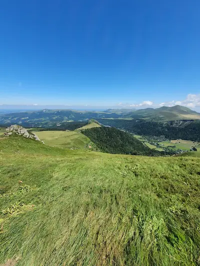 du vert partout