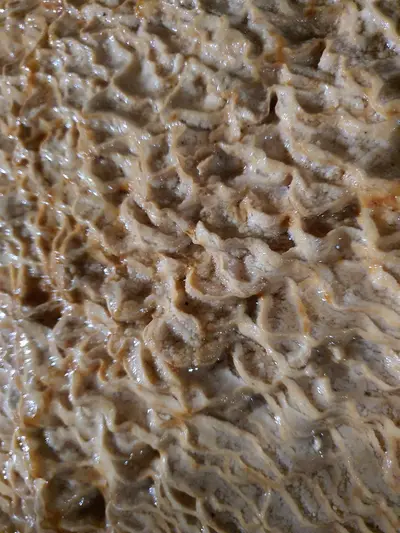 détails en forme de vagues