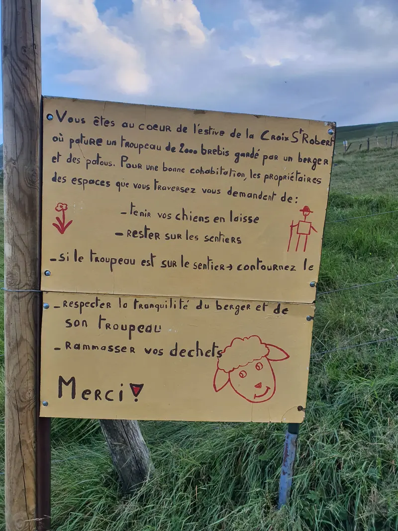 consignes de sécurité pour les brebis