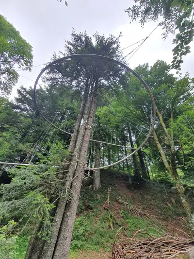 tyrolienne à virages autour d'un arbre