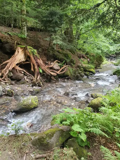 la dordogne au mont-dore