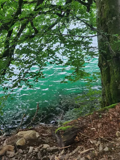 eau turquoise du lac pavin