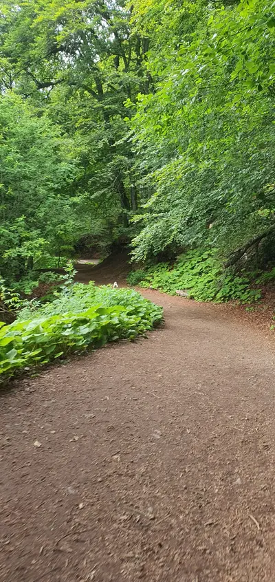 chemin pour faire le tour