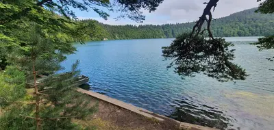 bord du lac Pavin