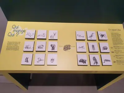 Jeu dans la galerie des sciences
