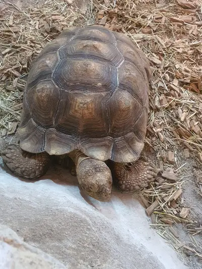 20220728 121304 scaled