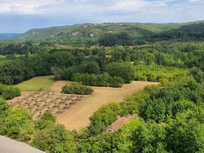paysage vu depuis le train à vapeur