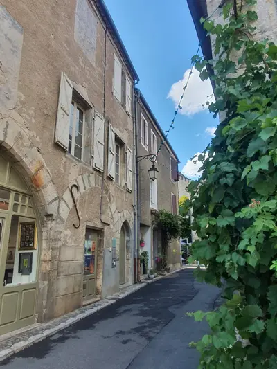 rue de Martel avec une vigne