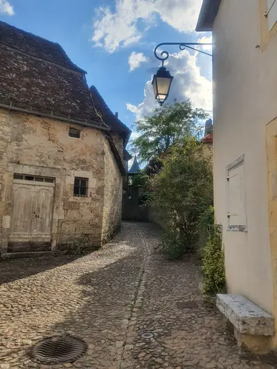 rue pavée avec un lampadaire