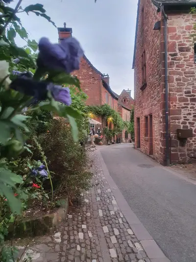 fleurs bleues dans collonges-la-rouge