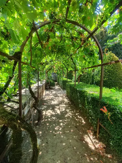 tunnel de verdure