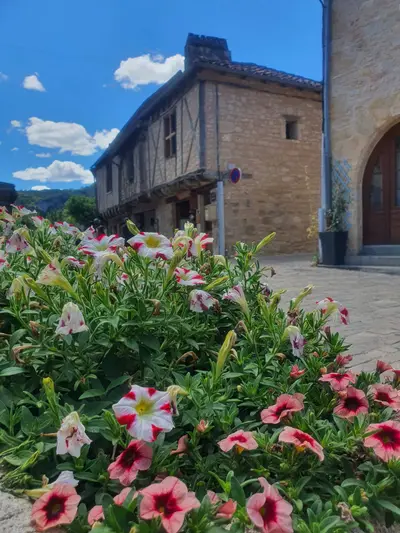 fleurs dans le village