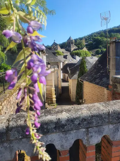 aubazine rue avec fleurs violettes