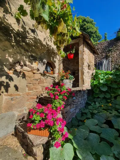 escalier avec des géraniums