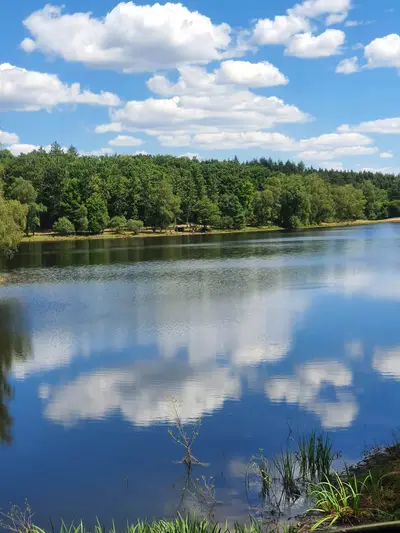 étang près du château de Sédières