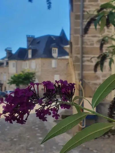 village flou avec fleurs