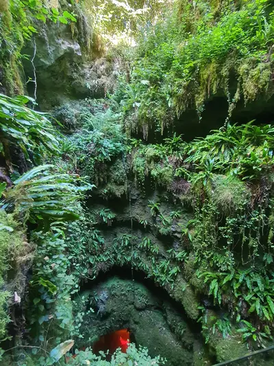 végétation luxuriante à l'entrée du gouffre