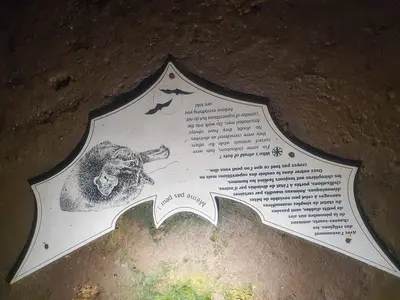 panneau sur les chauve-souris vivant dans la grotte