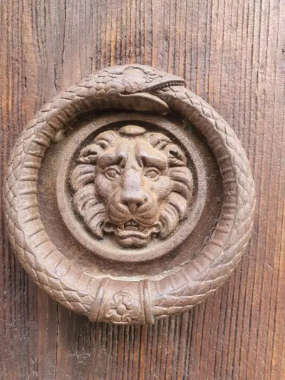 détail d'un lion sur une porte
