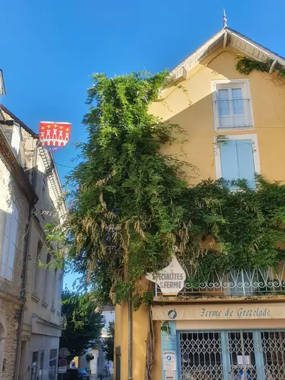 maison jaune avec glycine et enseigne
