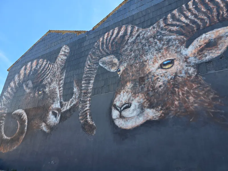 fresque avec des mouflons