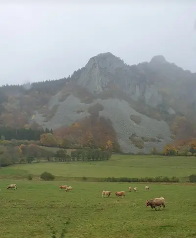 mouton devant roche sanadoire