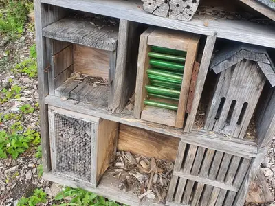 Abri insectes jardins mallet stevens scaled