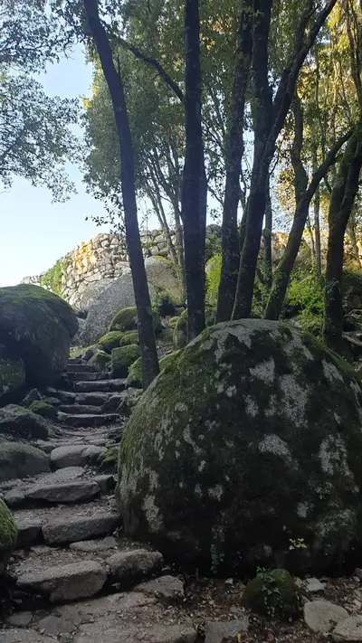 Escaliers du Cucuruzzu