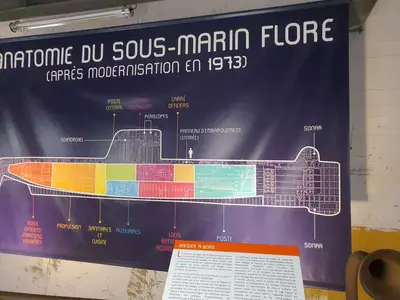 Affichage anatomie sous-marin Flore