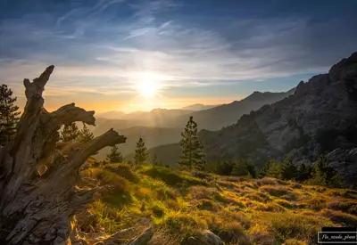 Coucher de soleil avec une souche