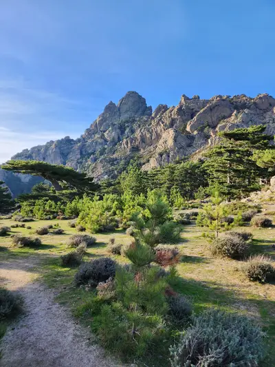 Retour à Bavella