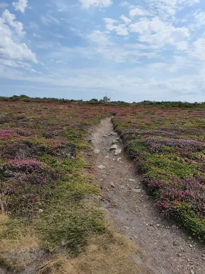 Chemins et allées Cap de la Chèvre