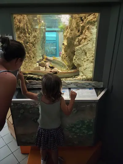 Visite en famille à la maison du saumon et de la rivière à Brioude