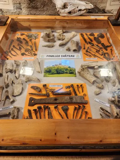 Exposition d'ossements et d'objets trouvés lors de fouilles dans le château d'Artias