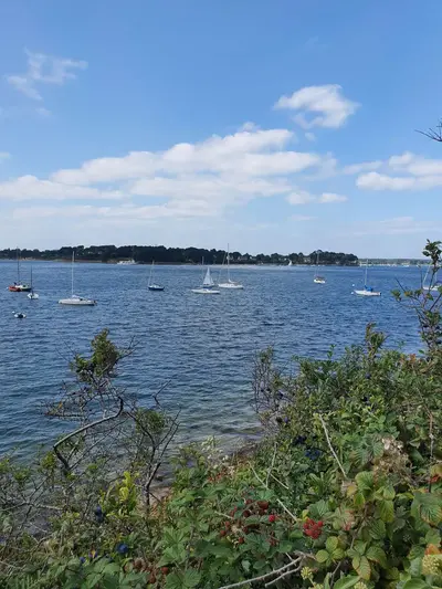 Vue de la mer sur île aux Moines