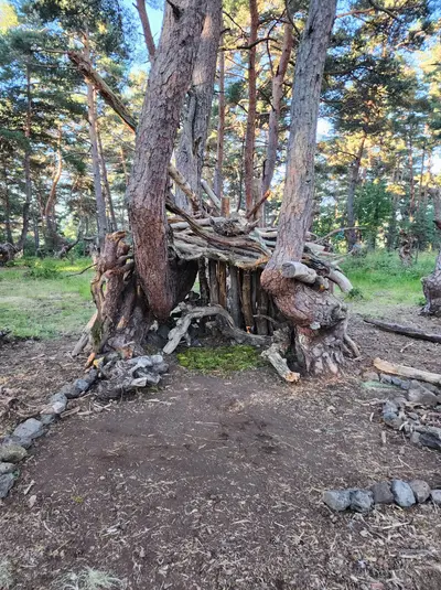 Cabane à la pinatelle