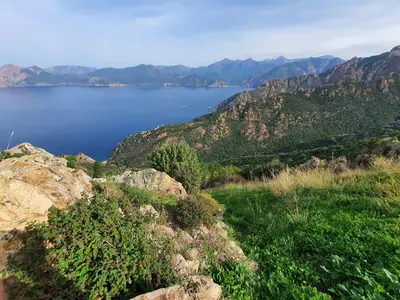 Calanques piana roche scaled
