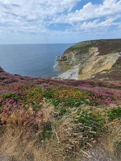 Vue des falaises et de la mer Cap de la Chèvre