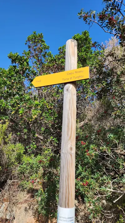 Capo rosso panneau direction scaled
